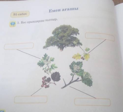 91-сабакЕмен ағашы21. Бос орындарды толтыр.