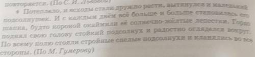Найди во втором тексте эпитеты, метафоры. •Текст на фото.•Очень сильно 