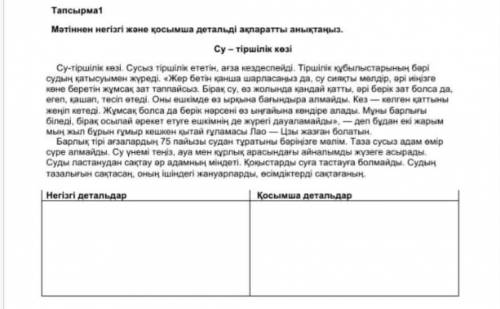 мәтіннен негізі және қосымша детальді ақпаратты анықтаңыз 