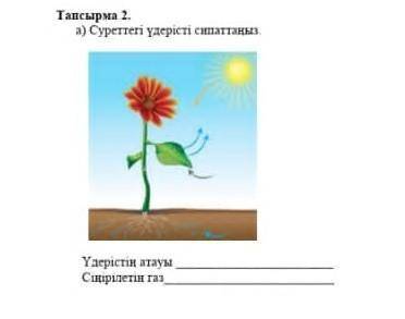 Если что это жаратылыс тану