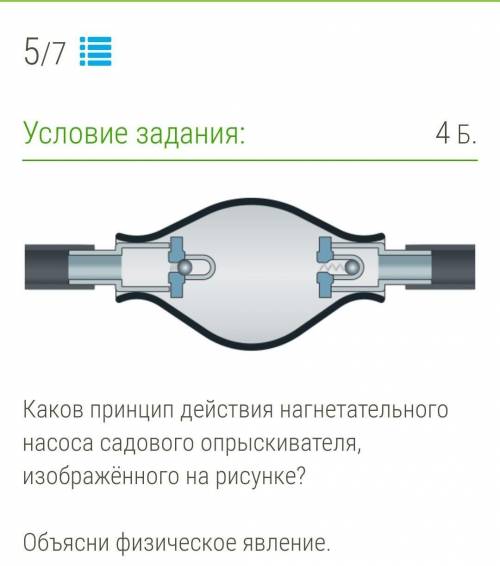 Каков принцип действия нагнетательного насоса садового опрыскивателя, изображённого на рисунке? 