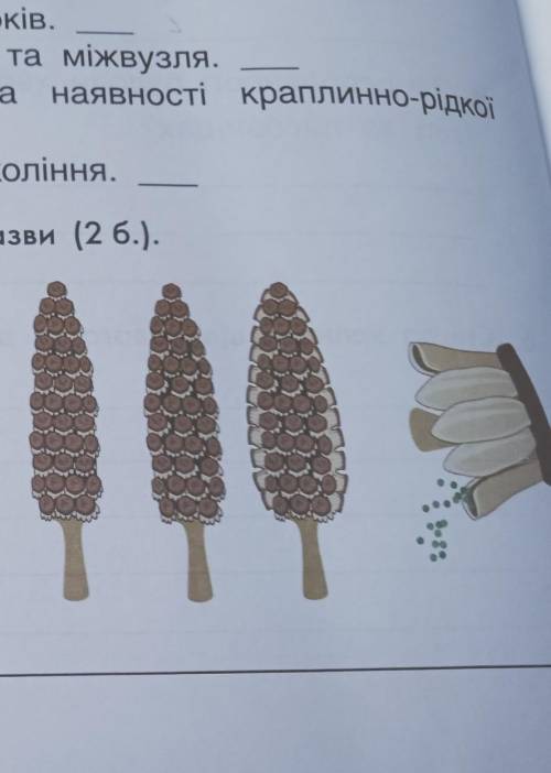 (2 6.).3. Розглянь зображені процеси. Напиши їхні назви