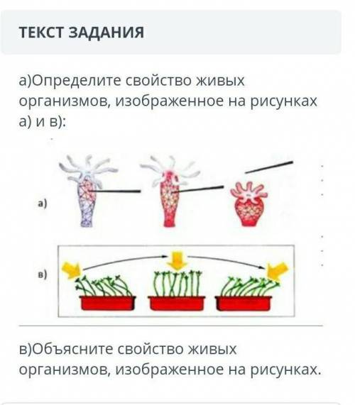 Определите свойство живых организмов,изображенное на рисунках ​