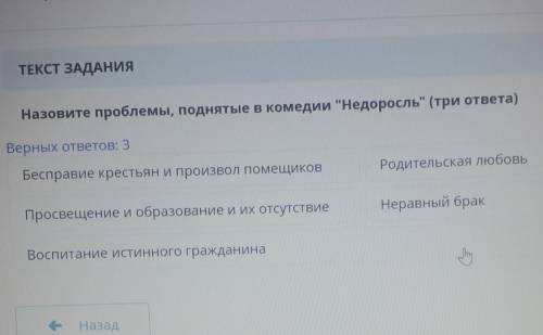 Назовите проблемы поднятые в комедии недоросль
