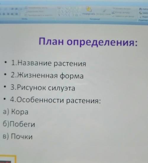разбор сирени и берёзы обыкновенных ​