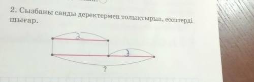 2. Сызбаны саны деректермен толтыру, есептері