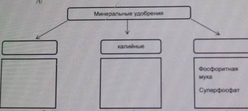 4. Заполните таблицу.Минеральные удобрениякалийныеФосфоритнаямукаСуперфосфат