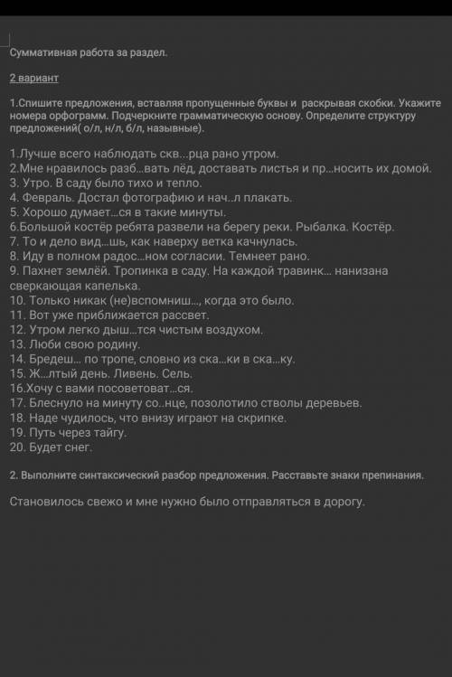 сор по русскому языку очень только первое задание​
