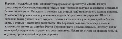 Найдите предложение с однородными членами предложения. Подчеркни в предложении однородные члены 