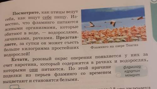 Там должен быть текст, вот он, забыла сфоткать ;-;