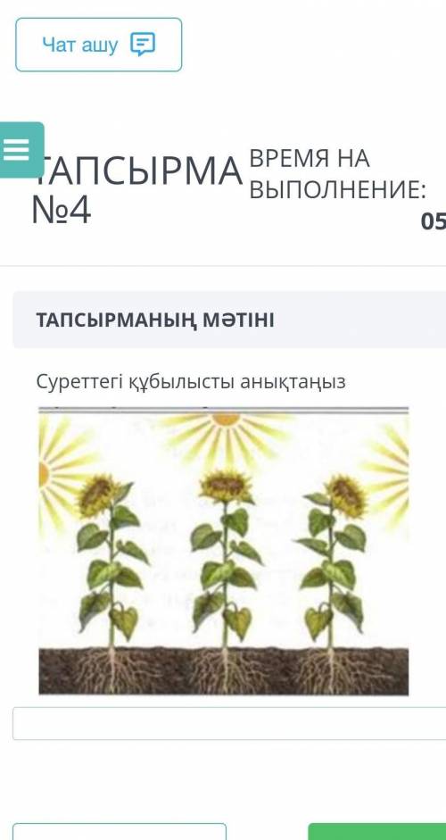 берем. 1)гидротропизм2)фототропизм3)аэротропизм4)хемотропизм​