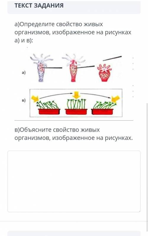 сделать побыстрее это сор ​