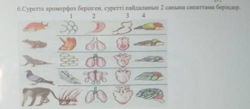 6.Суретте ароморфоз берілген, суретті пайдаланып 2 санына сипаттама беріңдер. 1324