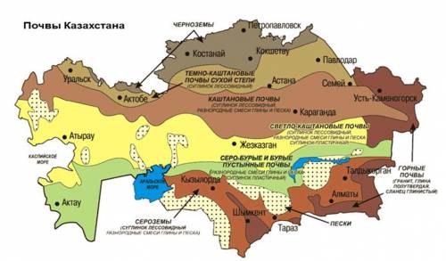 Определите изменения почвенного покрова на территории Казахстана с севера на юг (от г.Петропавловска