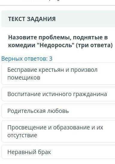 Назовите три проблемы принятые в комедии недоросль 