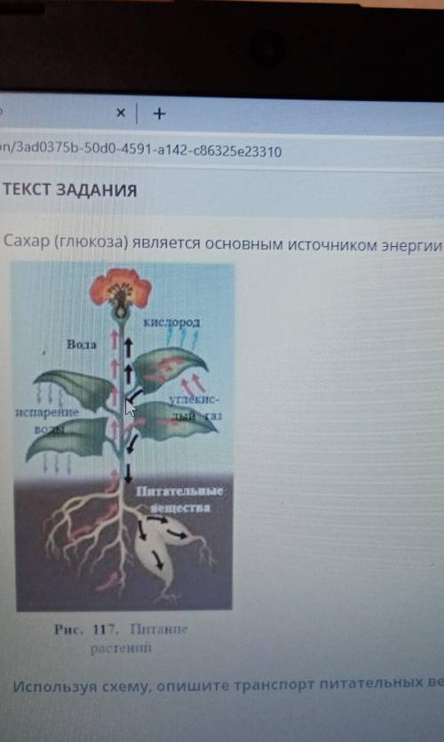 У МЕНЯ СОР ПО ЕСТЕСТВОЗНАНИЮ