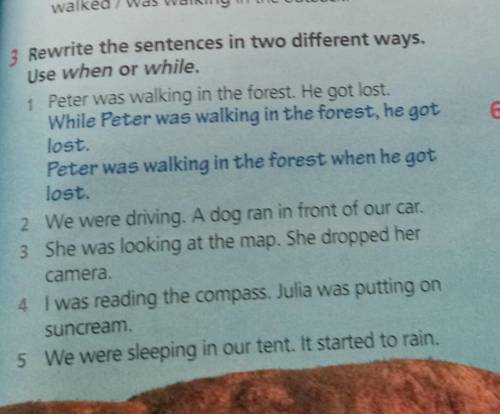 Rewrite the sentences in two different ways. use when or while