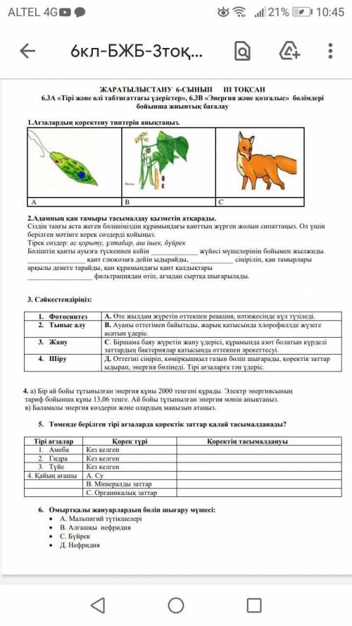 с Сор Отыныш комектесынш Бжб жаратылыс тану дан отыныш