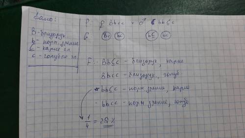 Решите задачу на дигибридное скрещивание