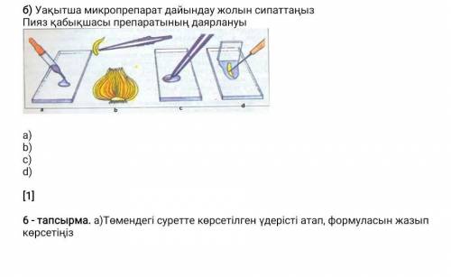 перевод на русктий:б) Опишите, как приготовить временный микропрепарат.