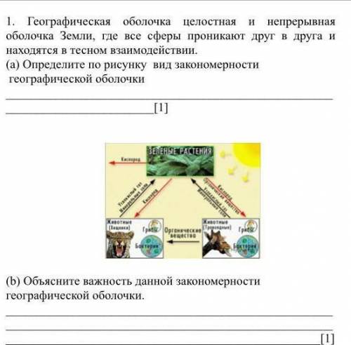 Определите по рисунку вид закономерности географической оболочки 