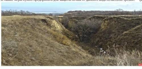 . а. Определите тип почвы по описанию.