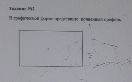 Задание No2В графической форме представьте почвенный профиль это сор 