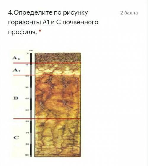 4.Определите по рисунку горизонты А1 иС почвенного профиля.