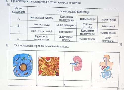 , это конечно не математика , но , жаратылыстану 