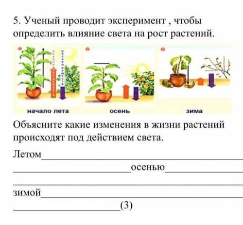 5. Ученый проводит эксперимент , чтобы определить влияние света на рост растений.Объясните какие изм