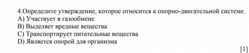 Опорно двигательная система 