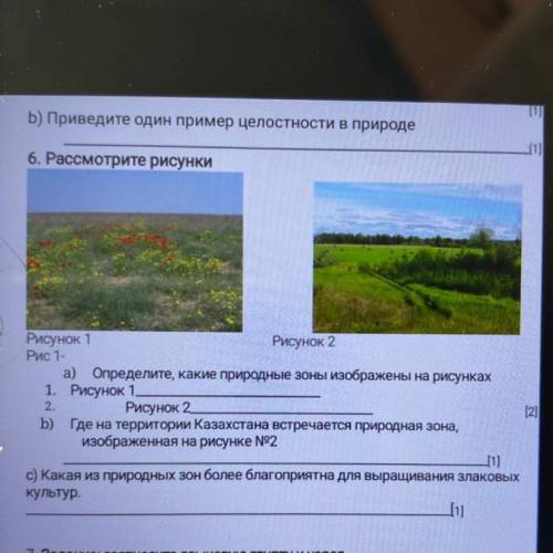Рассмотреть и рисунки определите какие природные зоны изображены на рисунках