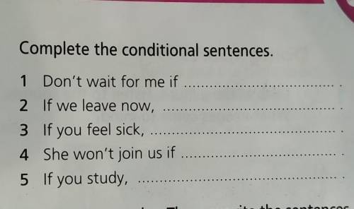 Complete the conditional sentences