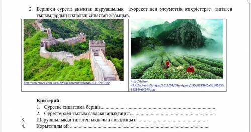 Суретке сипаттама беріңіз