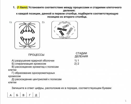 Сор по биологии 10 класс 