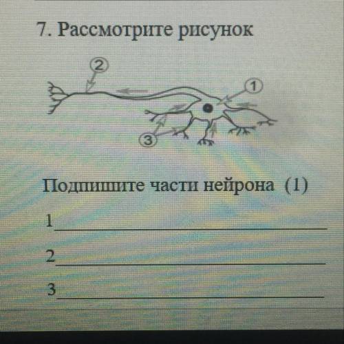 ПОДПИШИТЕ ЧАСТИ НЕЙРОНА СПАМ-БАН