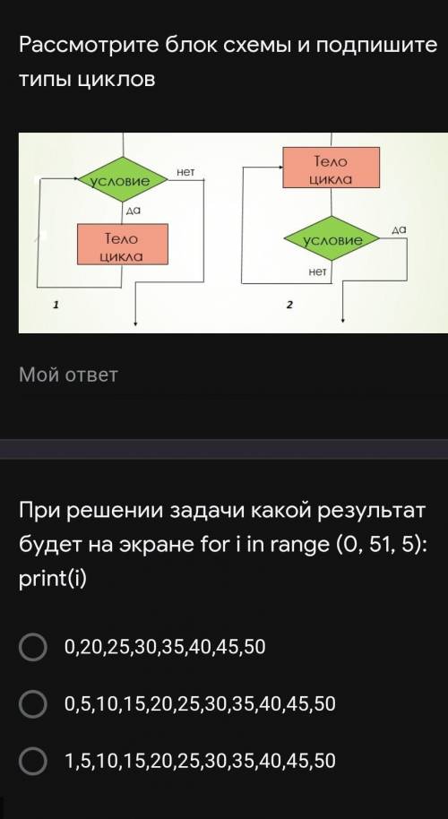 Рассмотрите блок схемы и напишите типы циклов