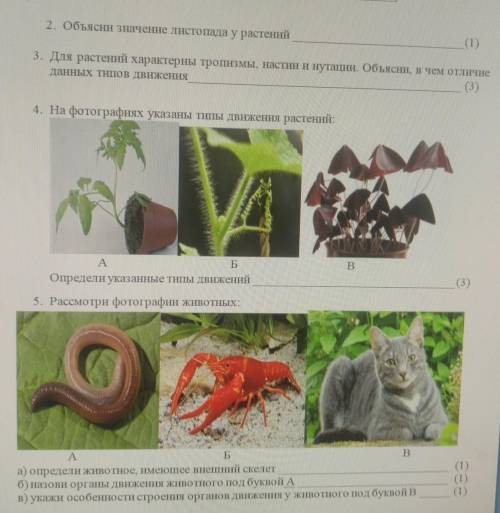 СОЧ 2. Объясни значение листопада у растений (1)3. Для растений характерны тропизмы, настии и нутаци