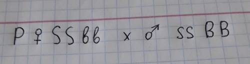 Биологи , ставлю много балов