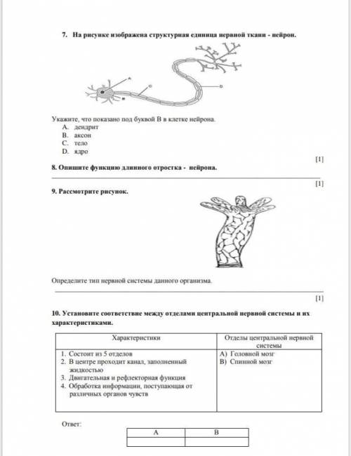 Соч по биологии туплю пипец