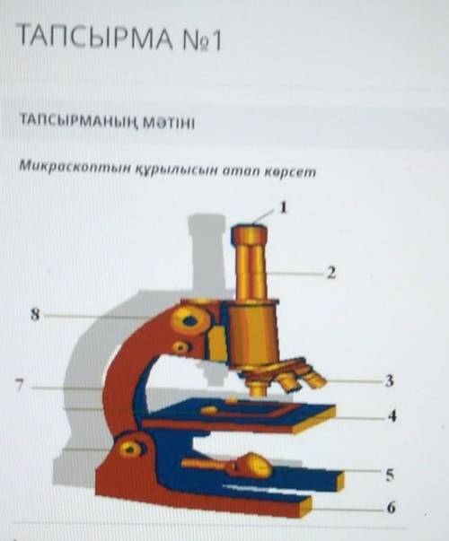 Микроскоптын құрылысын атап көрсет