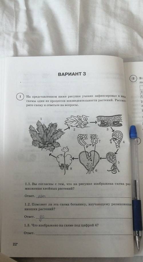1.3. Что изображено на схеме под цифрой 4?