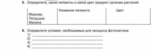 только можно нормальный ответ