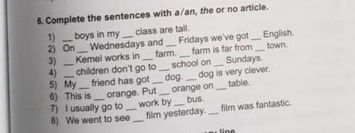 6. Complete the sentences with a/an, the or no article. 