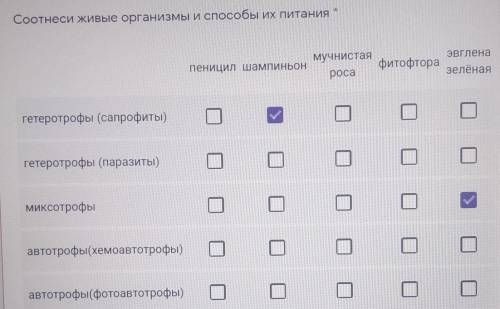 Соотнести живые организмы и их питания ​