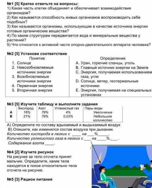  соч здовать через з мин )