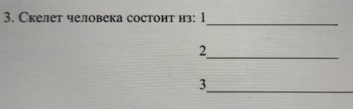 Скелет человека состоит из трёх