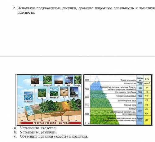 Кто сделаю лучшим ответов