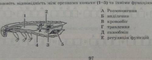 Установіть відповідність між органами комахи та їхніми функціями