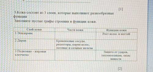 Заполните пустые графы которые выполняют разнообразные функции. .. ​